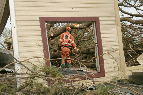 Best Tree Health Inspection  in Priceville, AL