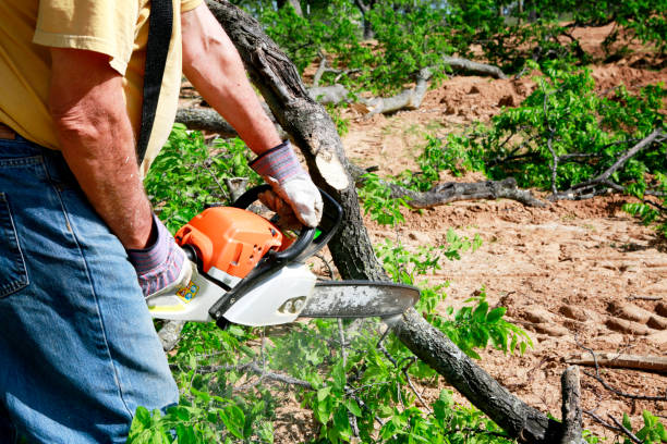 Best Tree Mulching  in Priceville, AL